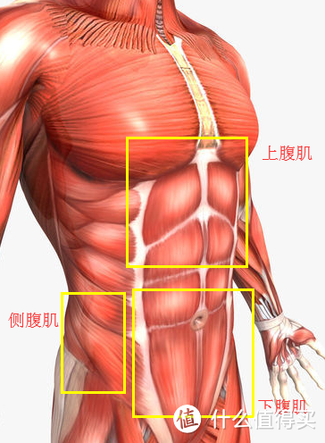 腹肌锻炼六十一式 想炫“腹”的话 看这篇就够了