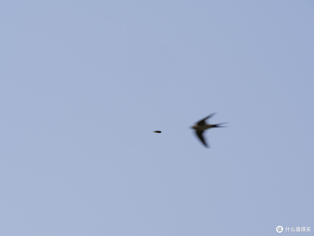 100 mm 1/500 F8 ISO200