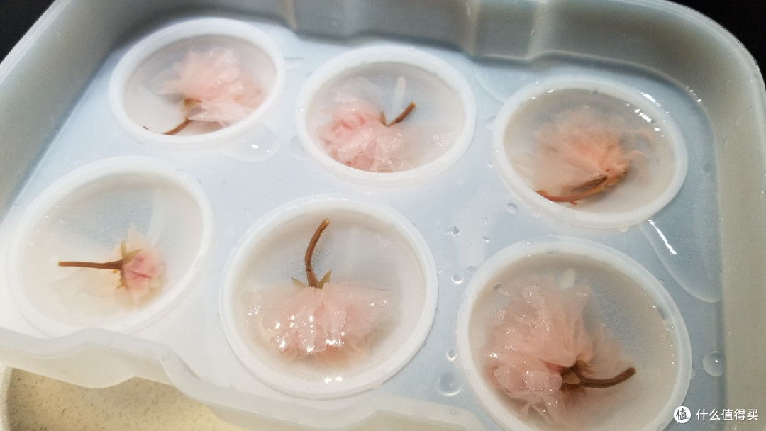 春日限定-樱花水信玄饼