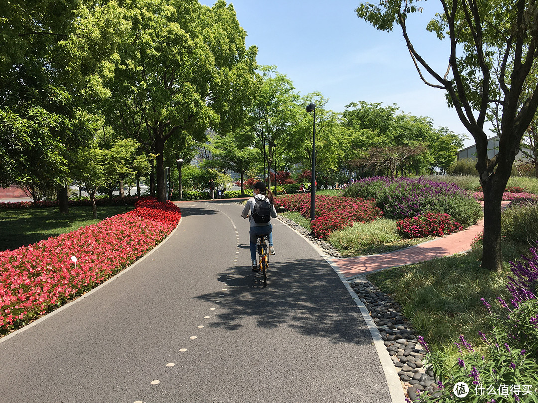 踏春漫游，滨江东岸骑车真是太舒服了！一直到外白渡桥