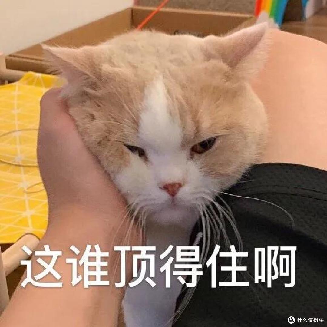 这种保险的暴利程度,让我怀疑人生!