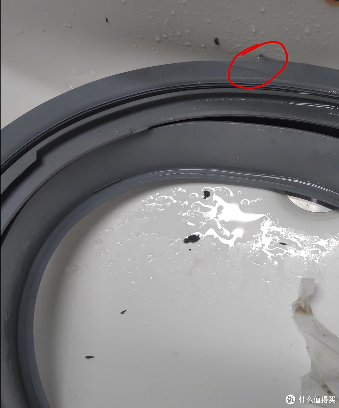 洗衣机机体清洁剂作用有多大？LG滚筒洗衣机DIY拆洗记录