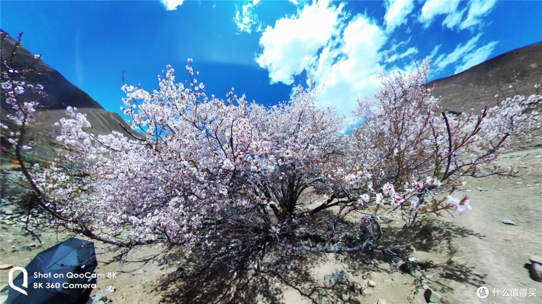 QooCam 8k全景相机,带你玩转地球嗨翻天!
