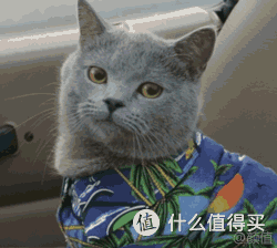 看它如何帮你告别铲屎官的终极烦恼——Eufy手持吸尘器测评