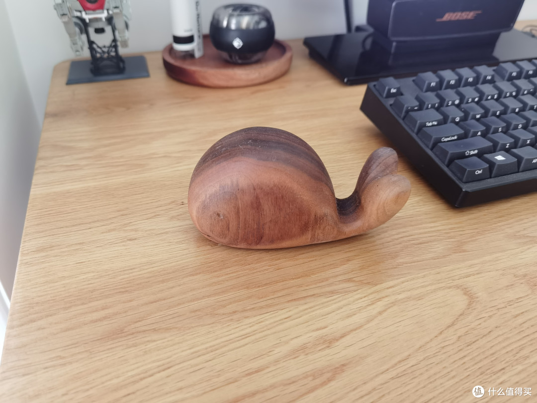 鲸鱼眼睛,看没看见