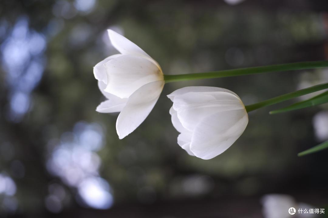 星曜35 f1.7镜头300块钱就到手大光圈的快乐