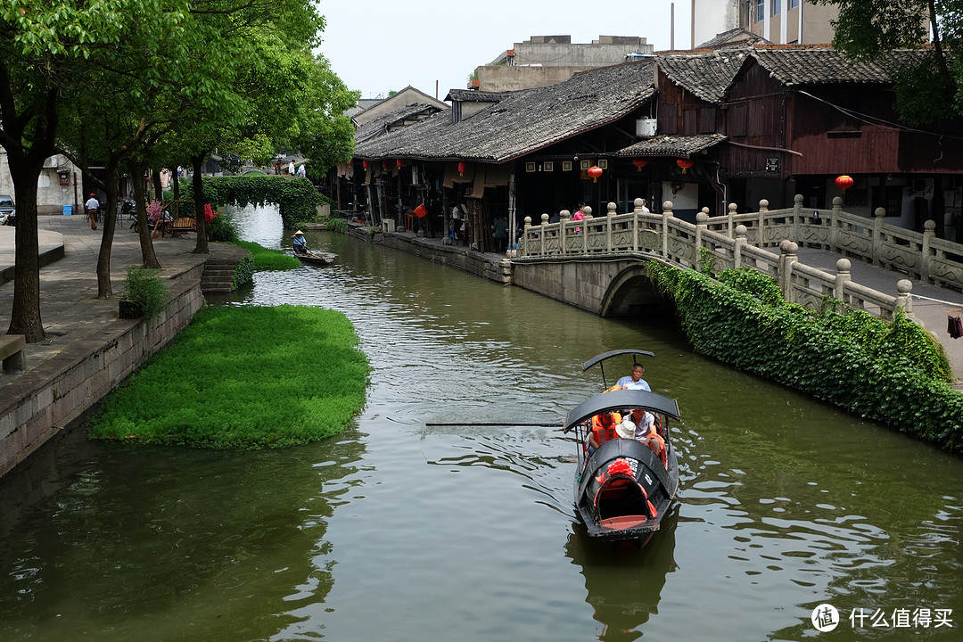 【绍兴安昌】长忆相见欢 浆声船影在江南