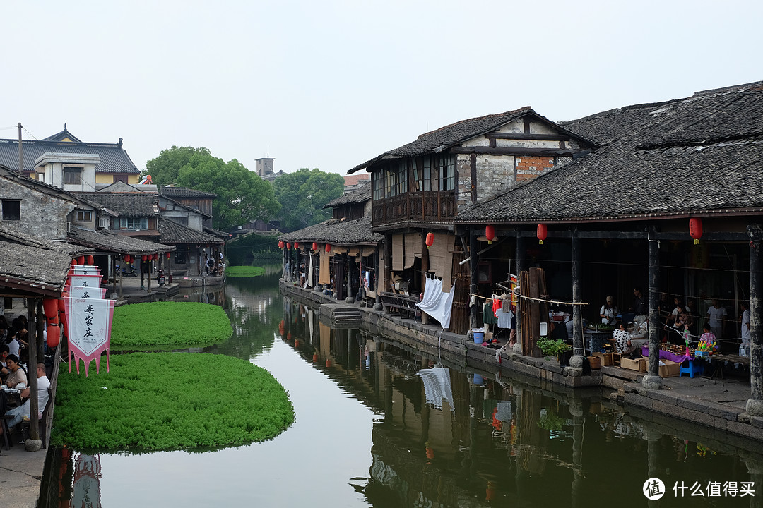 【绍兴安昌】长忆相见欢 浆声船影在江南