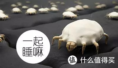 除螨仪好用还是智商税?慎入,真香预警!