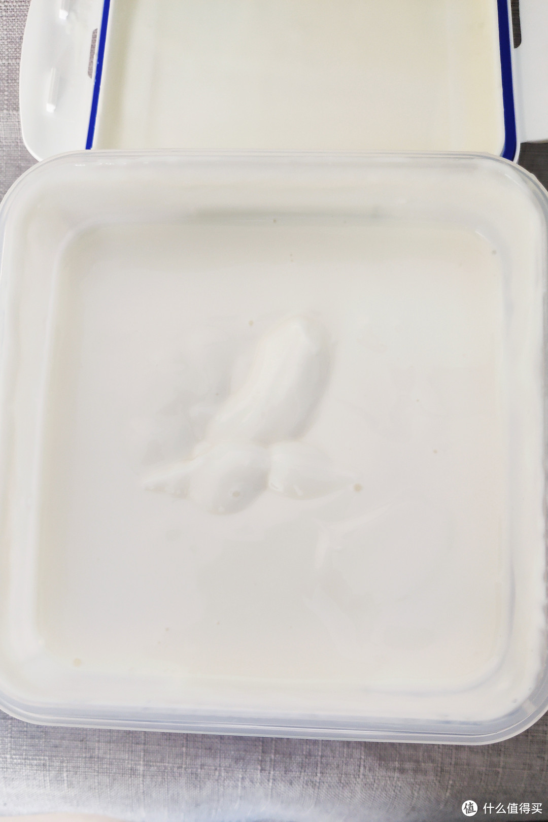 四斤重一桶的网红酸奶口味如何，看这里，另附酸奶知识小科普及好物推荐
