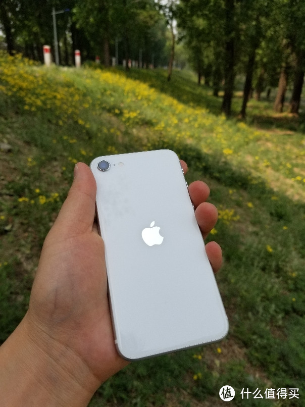 体验小苹果iPhone SE2！香不香？好像是真香！