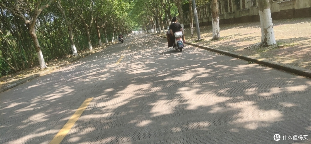 疫情期间找个偏僻点的地方度过五一,别墅旁边的小树林看着野花野草花花草草