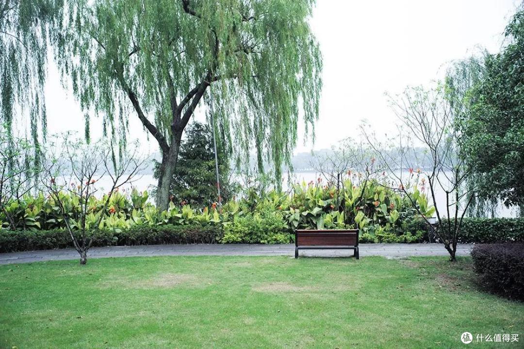 外地朋友来杭州,给你推荐一个省钱又地道的玩法