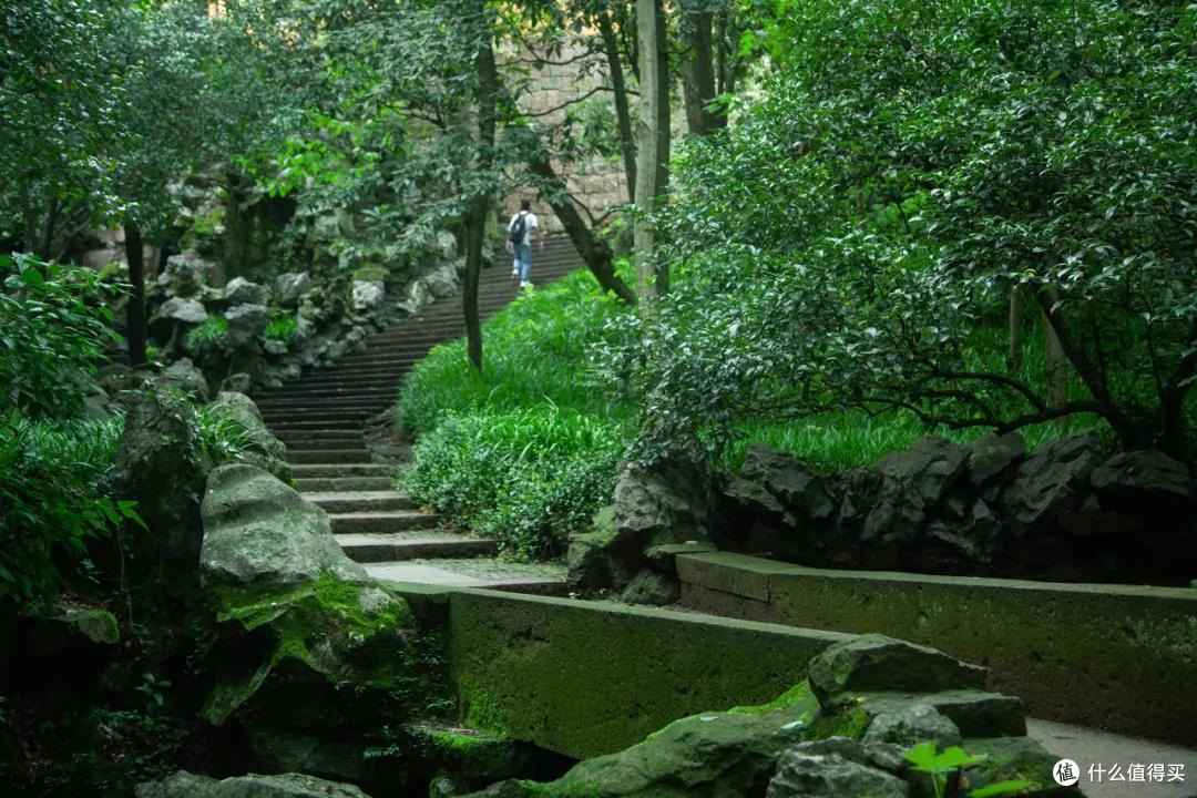 外地朋友来杭州,给你推荐一个省钱又地道的玩法