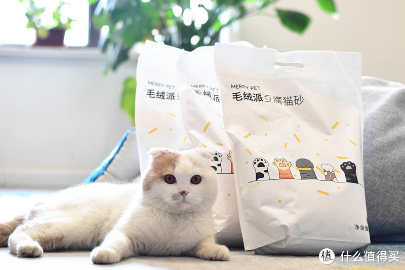 一款不太一样的猫砂，用过一次竟然直接爱上