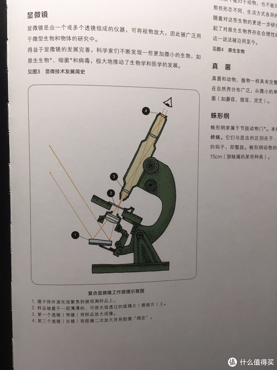 ​学好数理化，五一跟大象兴风作浪也不怕