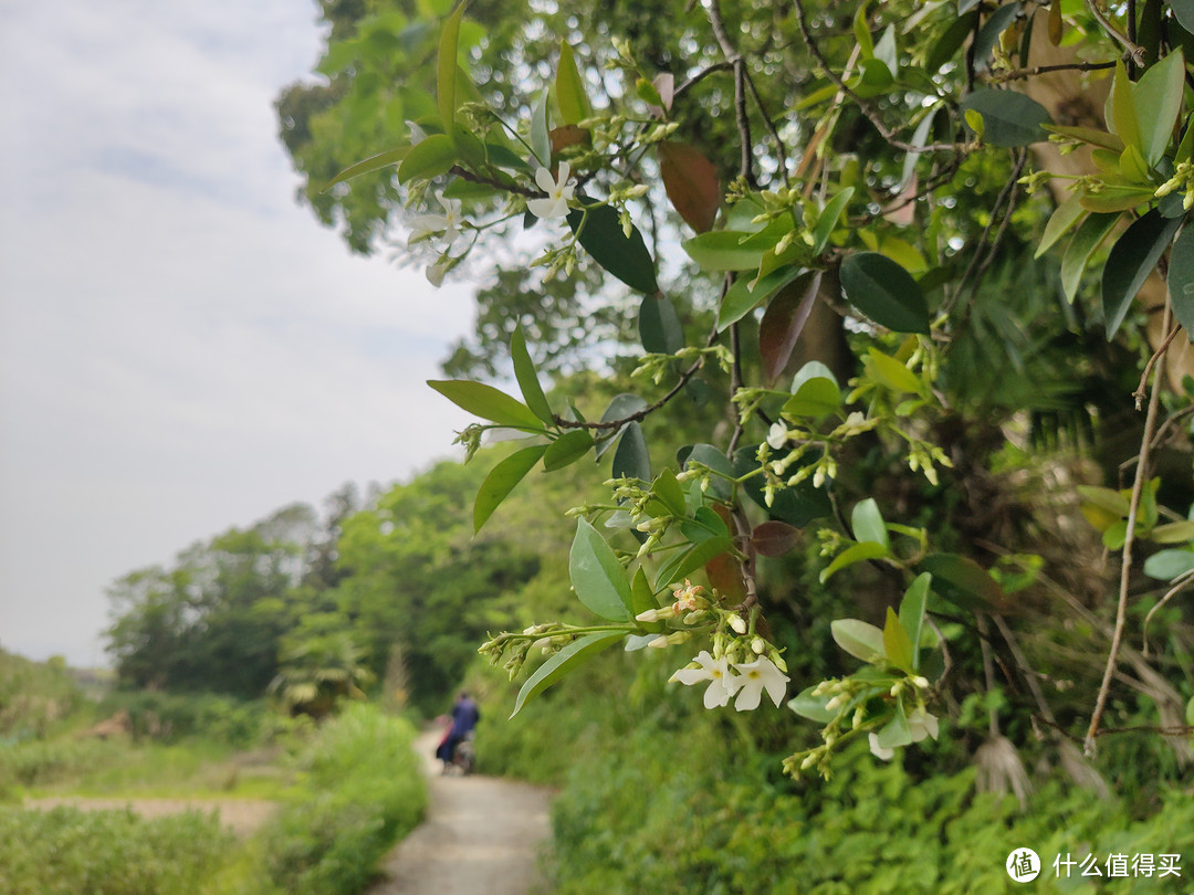 沿途的道路