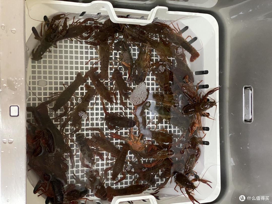 小厨房,也想要大厨房的全部功能?那它或许是你不可或缺的选择——方太水槽洗碗机K3B评测