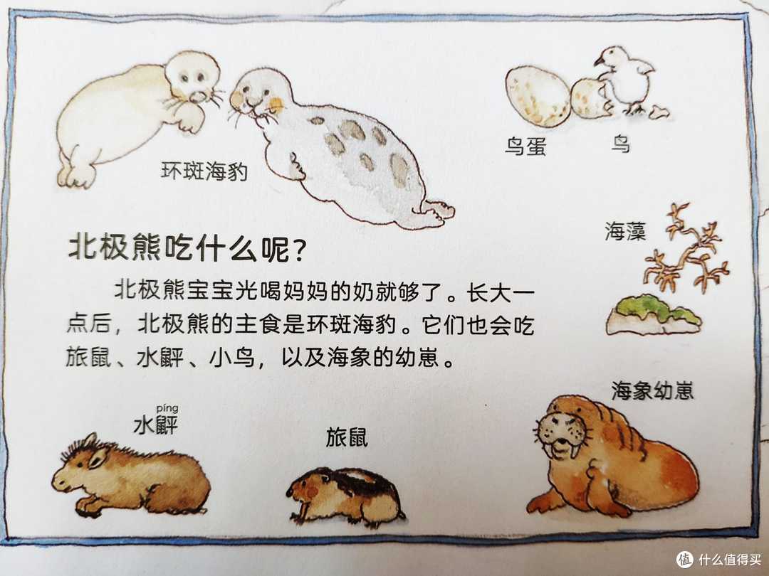 都讨论后浪,我也说说后浪什么值得买!