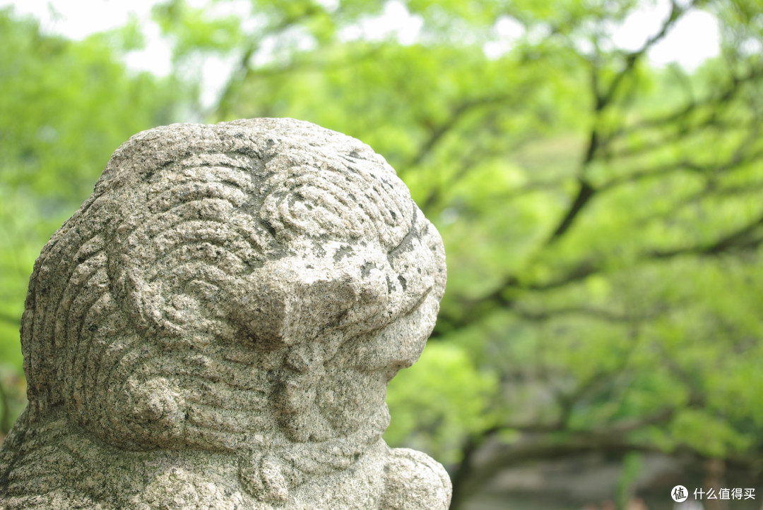 苏州,苏州园林甲天下,去“吴中第一名胜”苏州虎丘,看“中国第一斜塔”~