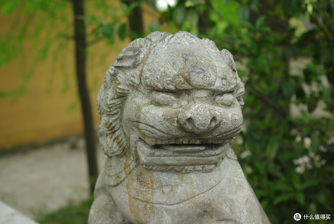 苏州,苏州园林甲天下,去“吴中第一名胜”苏州虎丘,看“中国第一斜塔”~