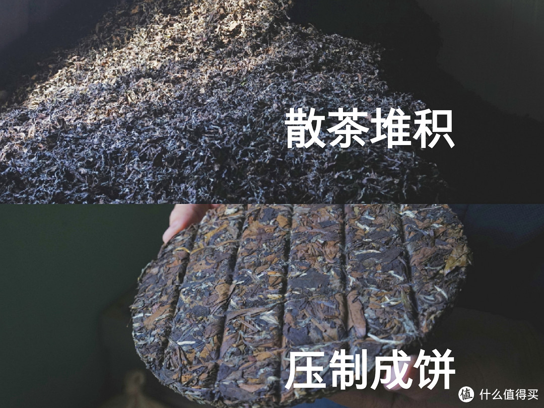 一篇让你快速深入了解白茶的吐血整理