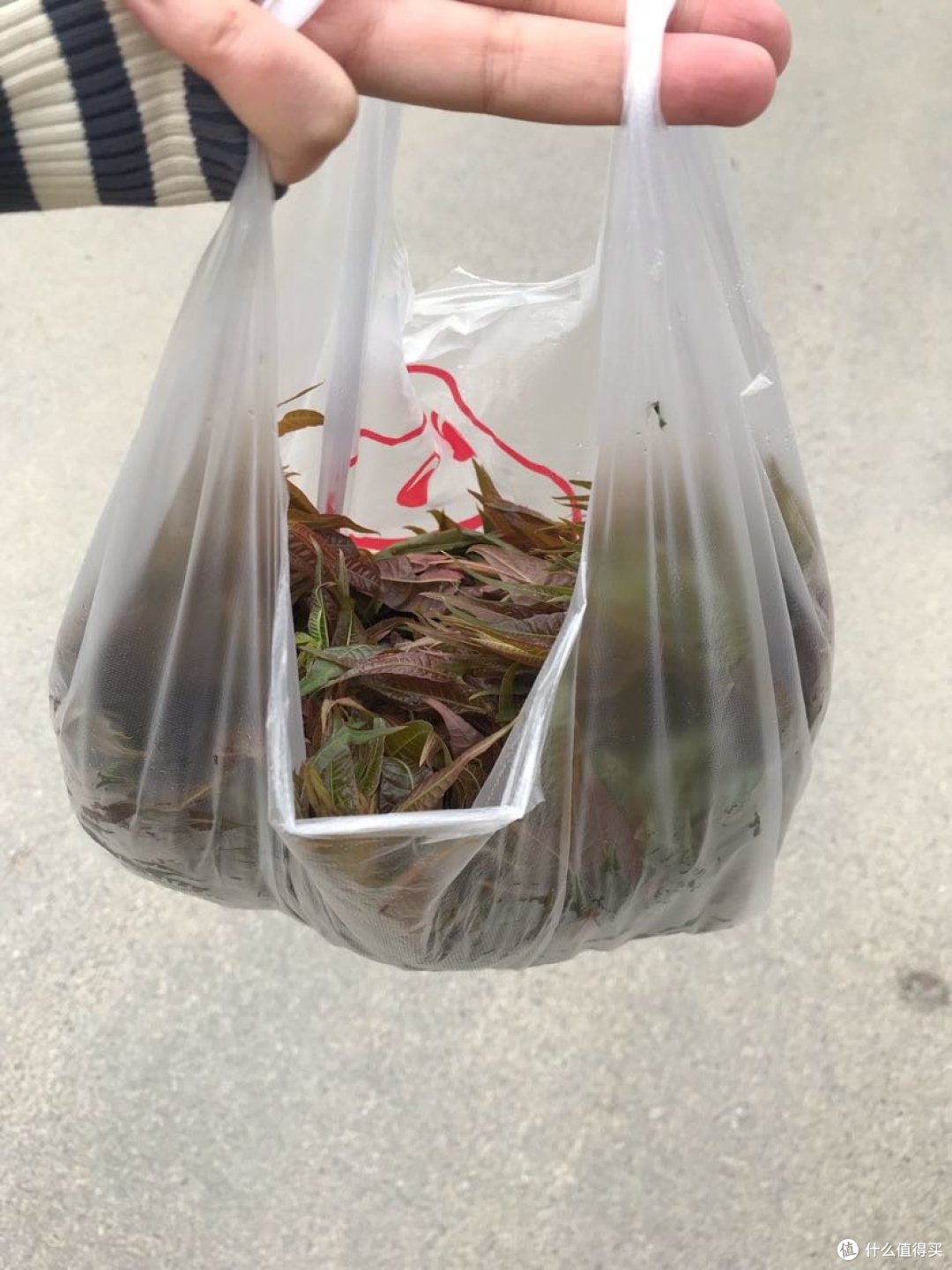 大连，山不在高有仙则灵，家门口的大黑山踏青