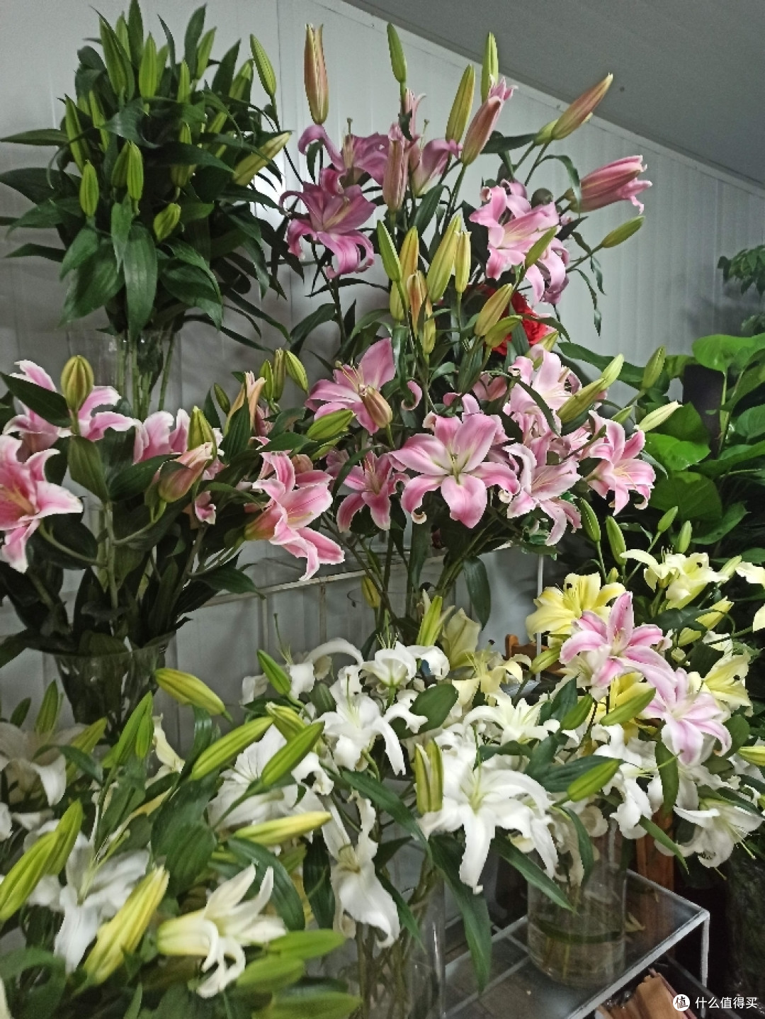 母亲节礼物如何选购?上海市闵行区梅陇花鸟市场鲜花商店粉色玫瑰与大红玫瑰