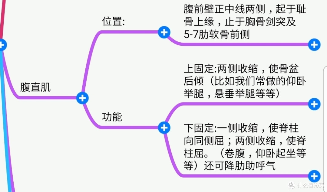 位置及功能