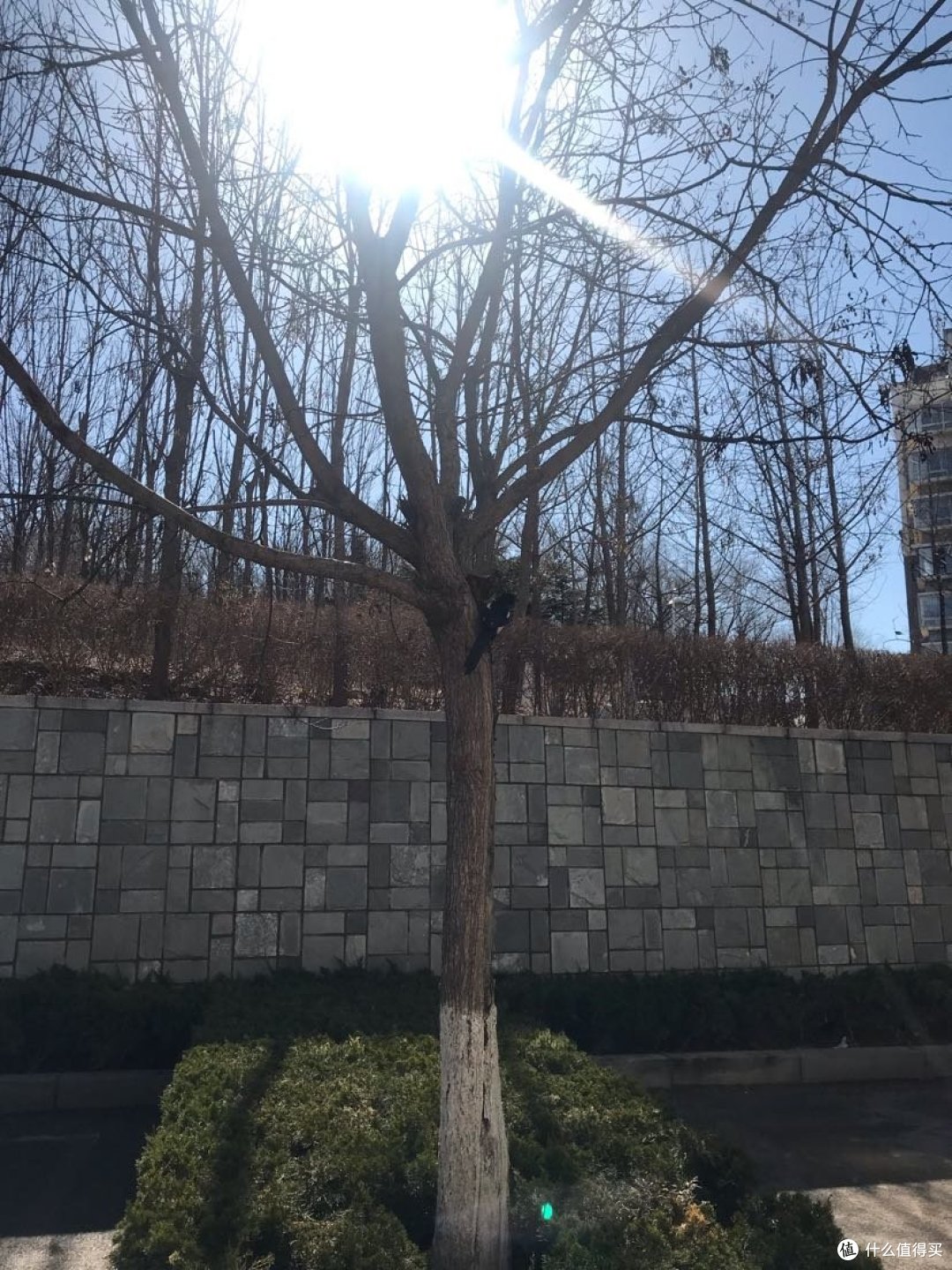 大连，带你认识一下我家门口的后花园，遛娃散步圣地