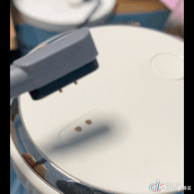 买了破壁机就能天天喝鲜榨果汁？错！榨汁杯才是正解！