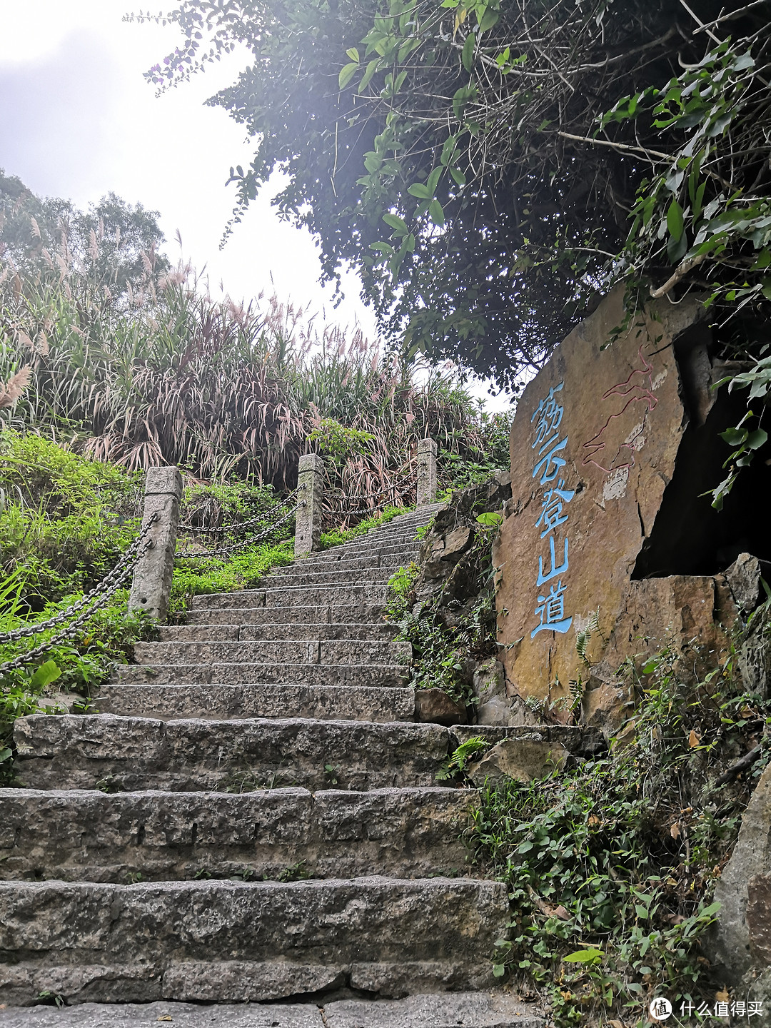 登山道入口