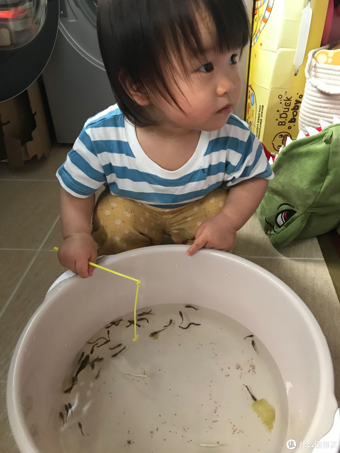 带你真的种点草吧!新手开缸~花很少的钱~帮你搞定一口缸!