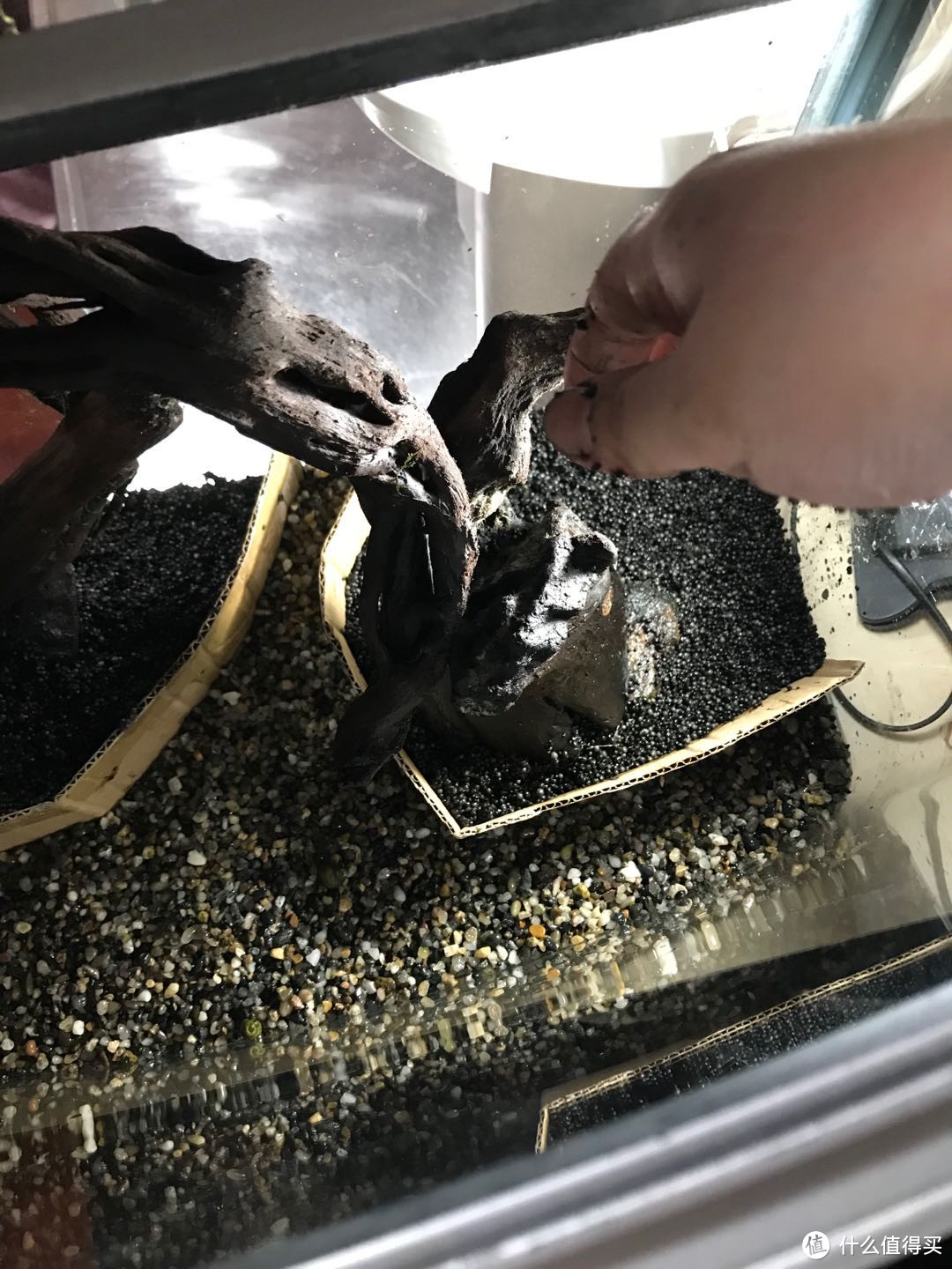 带你真的种点草吧!新手开缸~花很少的钱~帮你搞定一口缸!