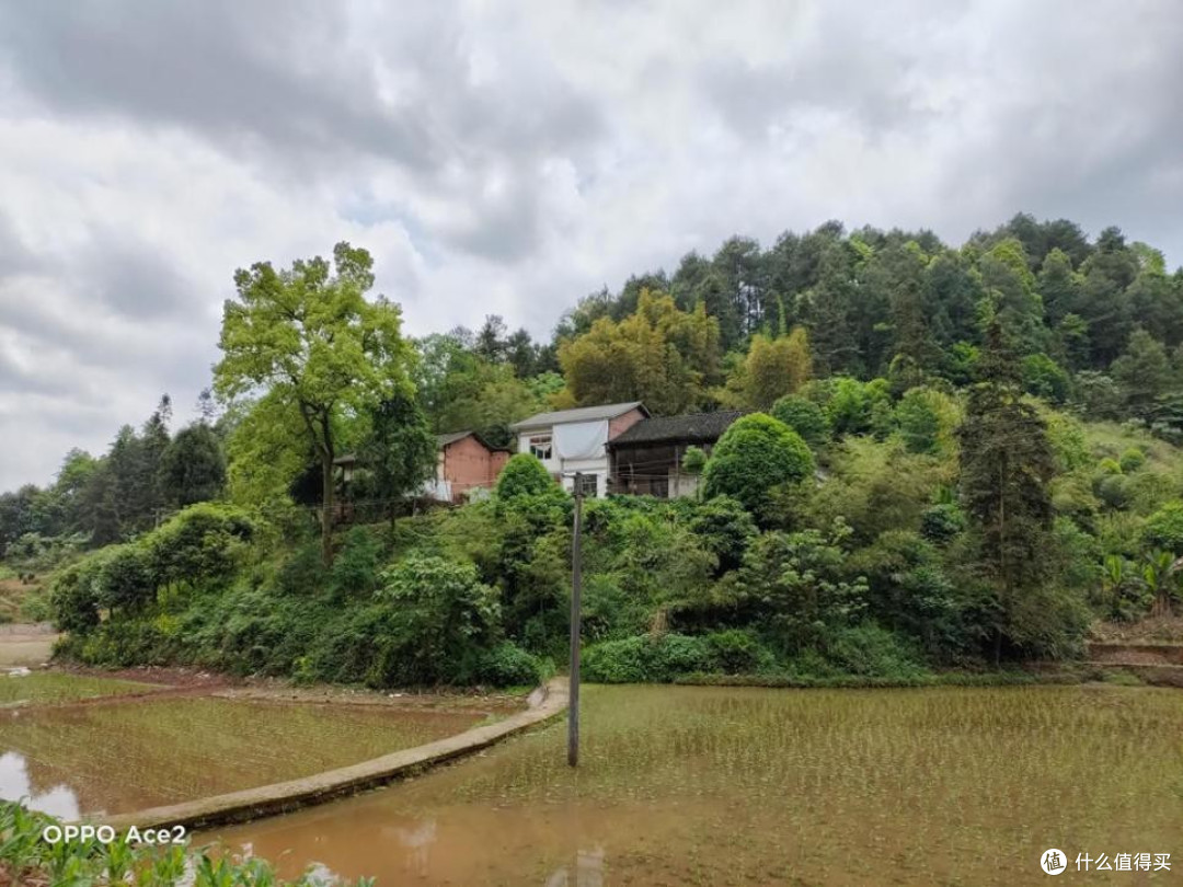 《向往的生活》再次带火田园风，四部新机田园拍照孰强孰弱？