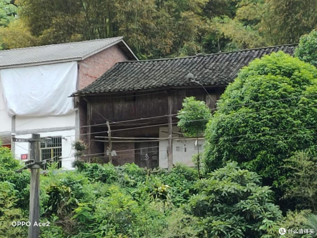 《向往的生活》再次带火田园风，四部新机田园拍照孰强孰弱？
