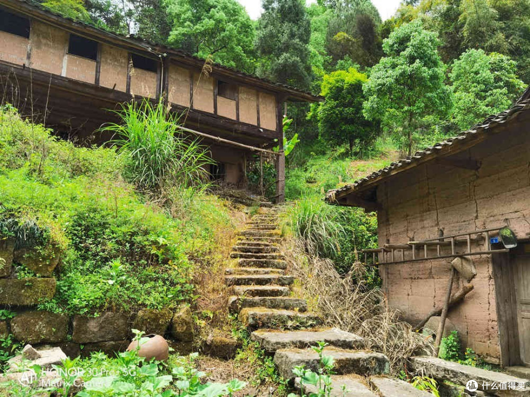 《向往的生活》再次带火田园风，四部新机田园拍照孰强孰弱？
