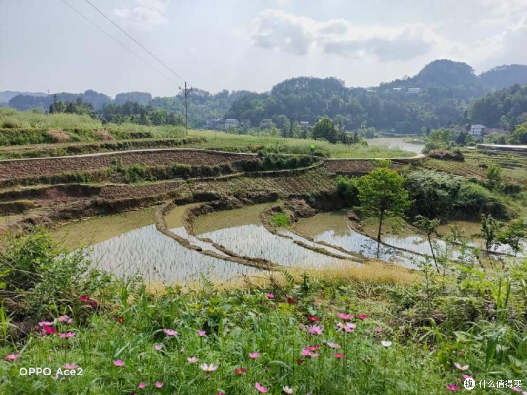 《向往的生活》再次带火田园风，四部新机田园拍照孰强孰弱？