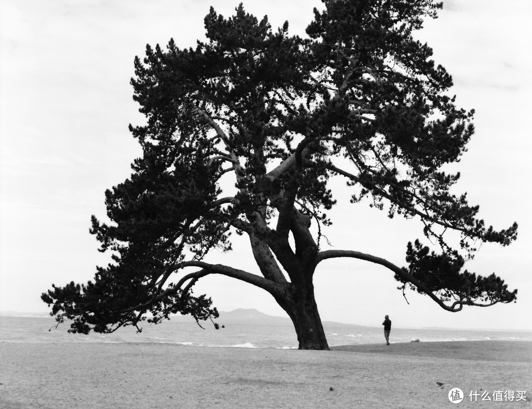 75mm F2.8镜头 + Fujifilm ACROS