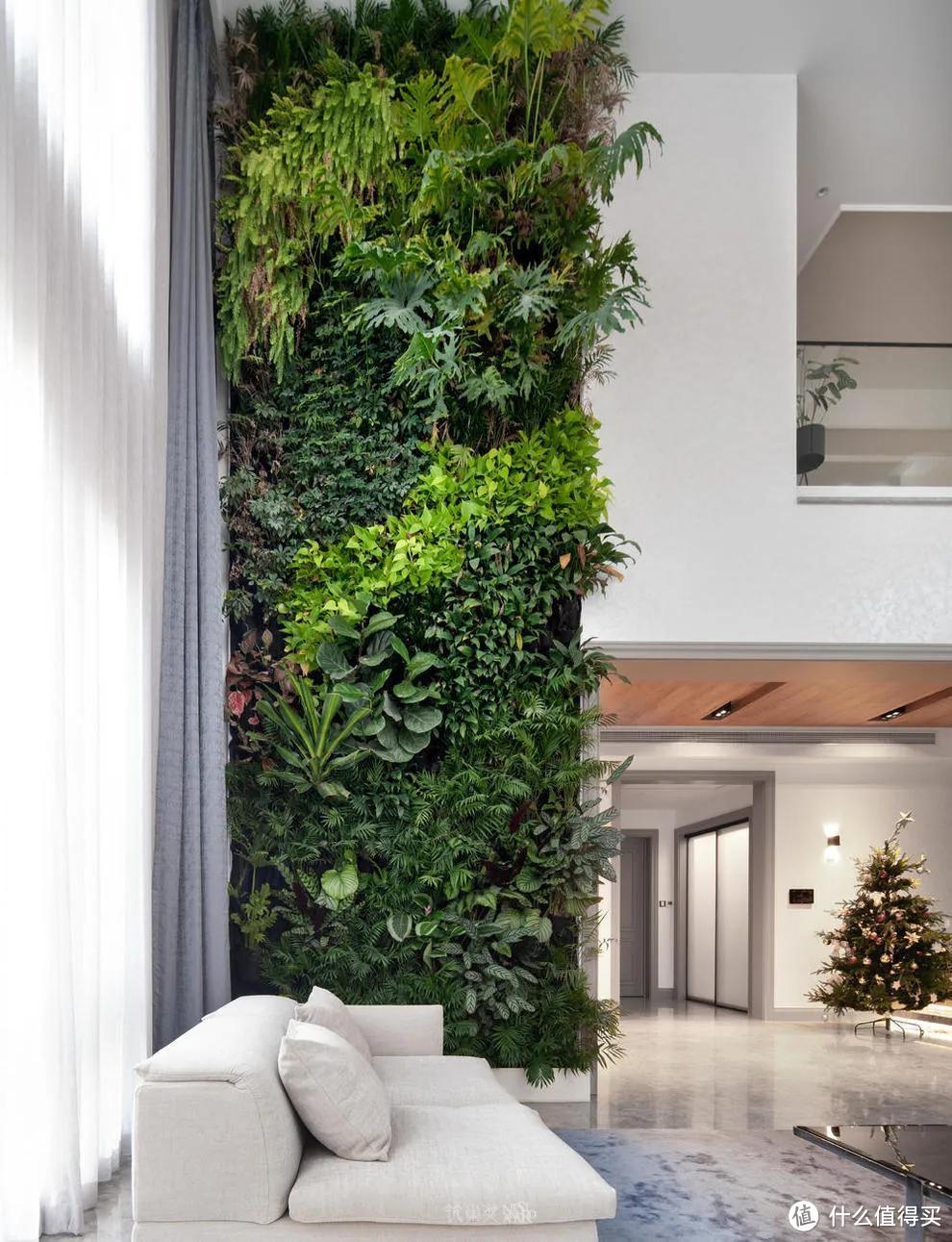 4层现代别墅设计，客厅植物墙效果太棒了！