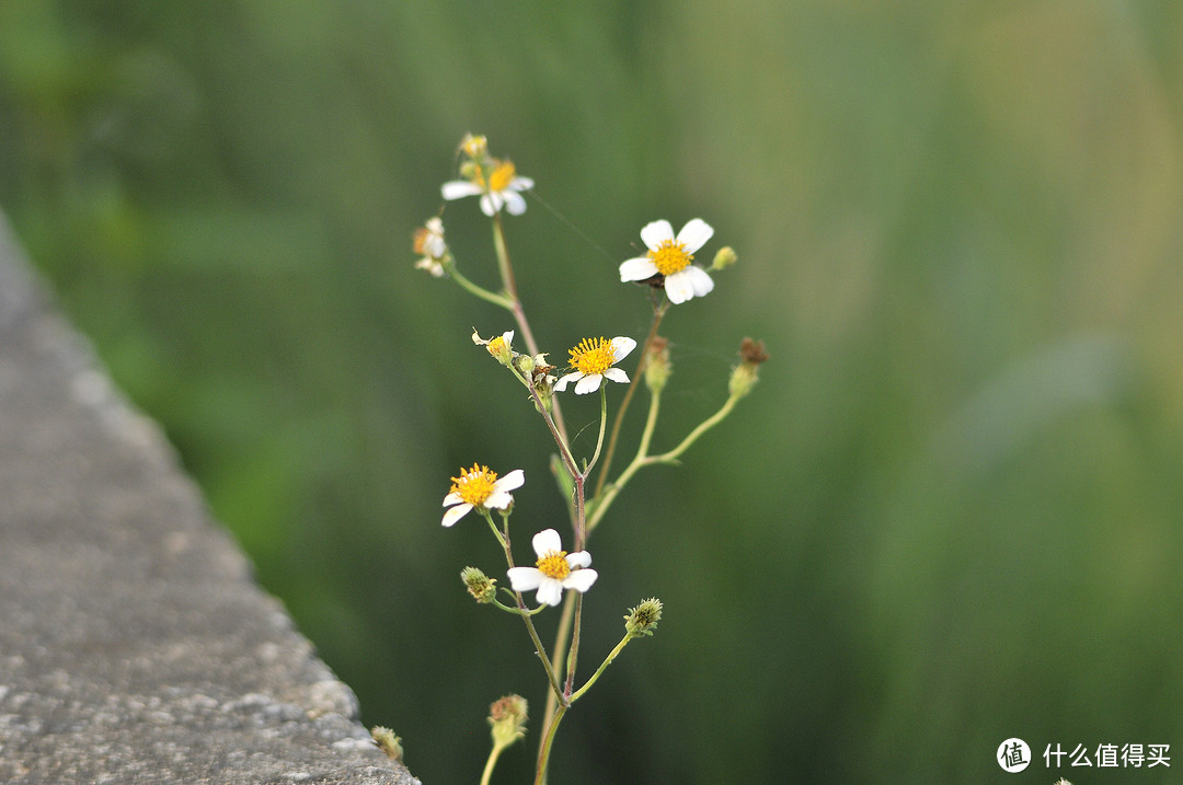 光圈f5.6 快门1/1000 焦距400mm