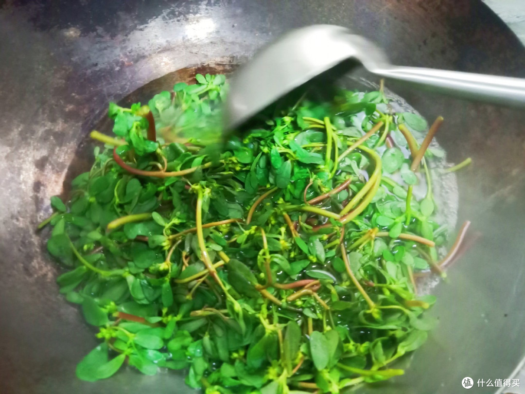 它是古籍最早记载对人类有贡献的野菜,民间称它为“长寿菜”