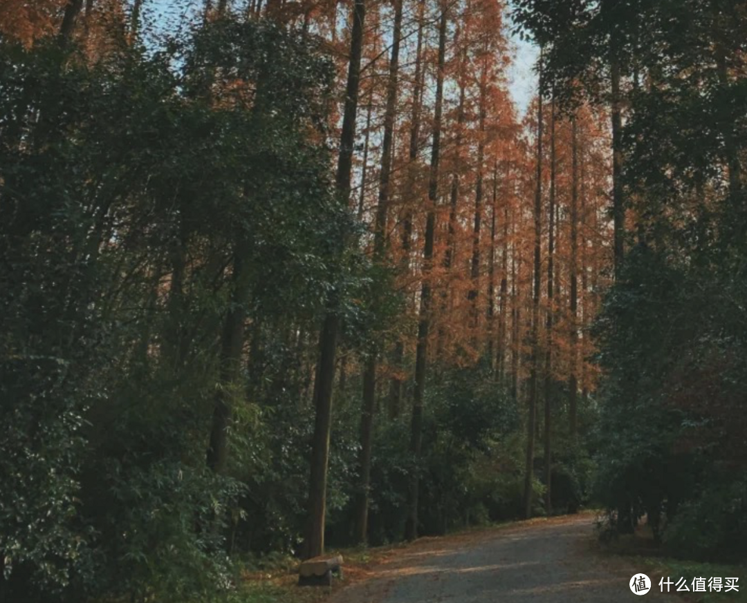 上海遛娃N种方式！除了迪士尼，还有这18+个地方随便挑