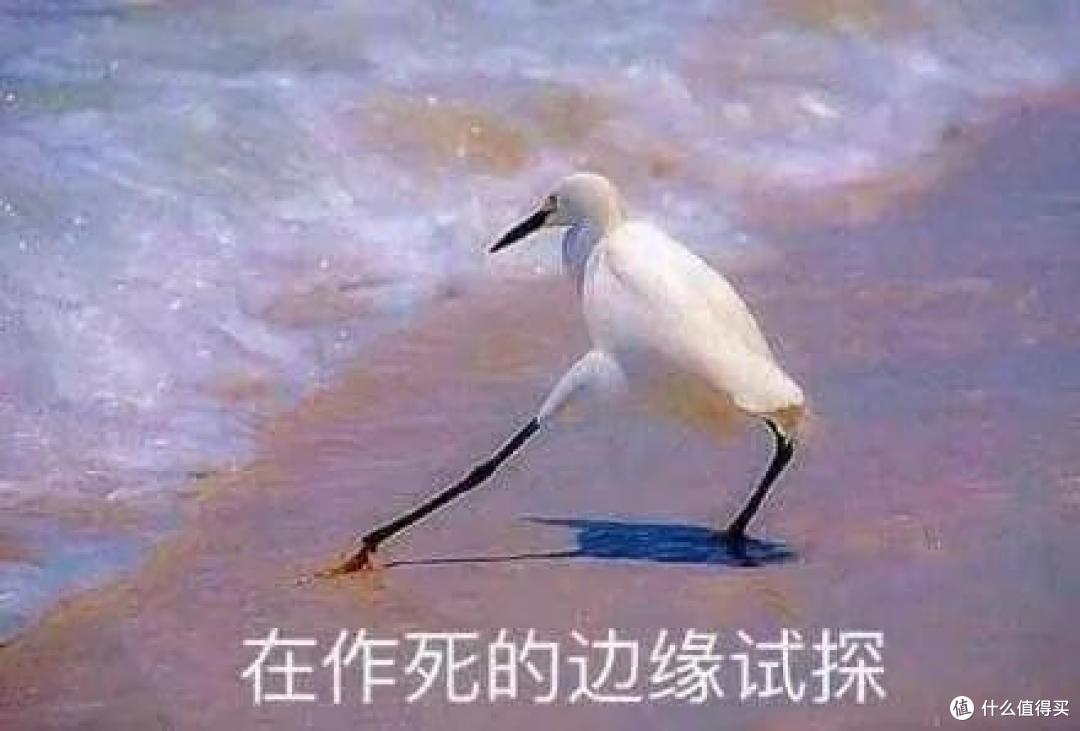 卖出2000万分的平安福,到底值不值得买?来聊聊平安福的进化史!