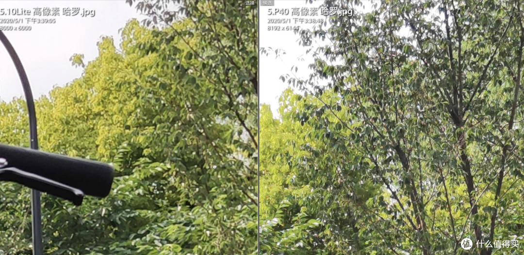 献给后浪的千里眼VS麒麟之心:小米10青春版和P40 Pro摄像头对比