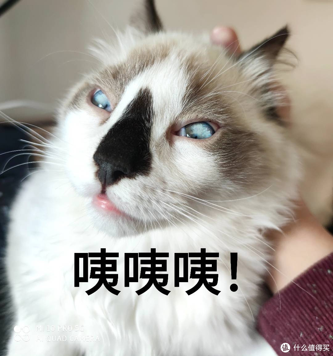 妩媚猛男是怎么上厕所的