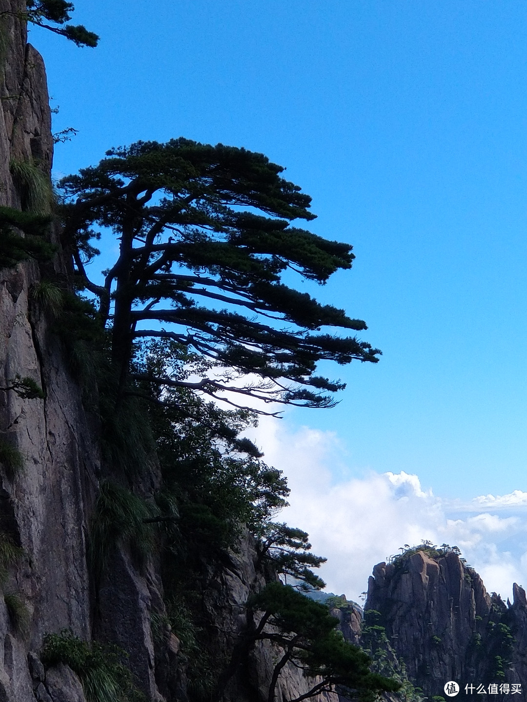 城市大玩家：五岳归来不看山、黄山归来不看岳——黄山一日半游攻略