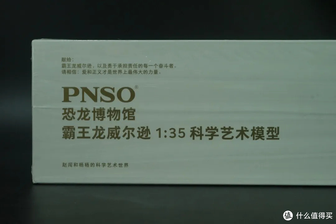 原创模玩之光 PNSO霸王龙威尔逊毕业撒花