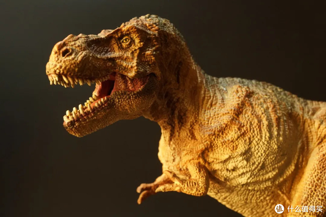 雕像感明显单侧打光,同样光源下和papo的绿蹲暴对比,果然更嶙峋有人说