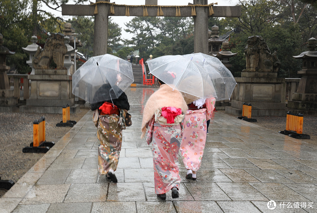 2019冬：一个人的关西穷游